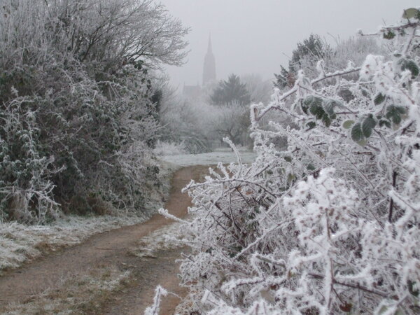 Winterlandschaft