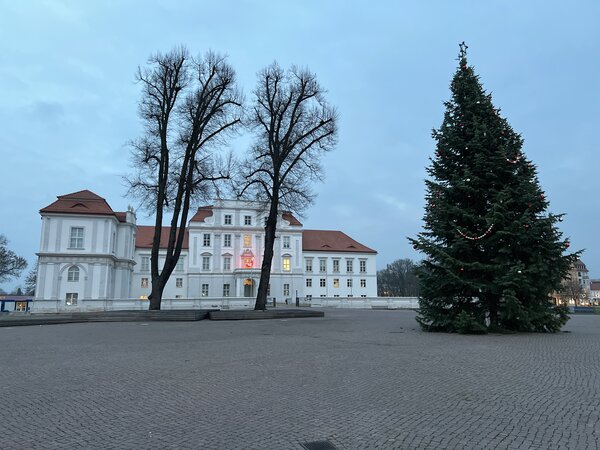 Die Stadtverwaltung sucht wieder einen Weihnachtsbaum f&uuml;r den Schlossplatz.