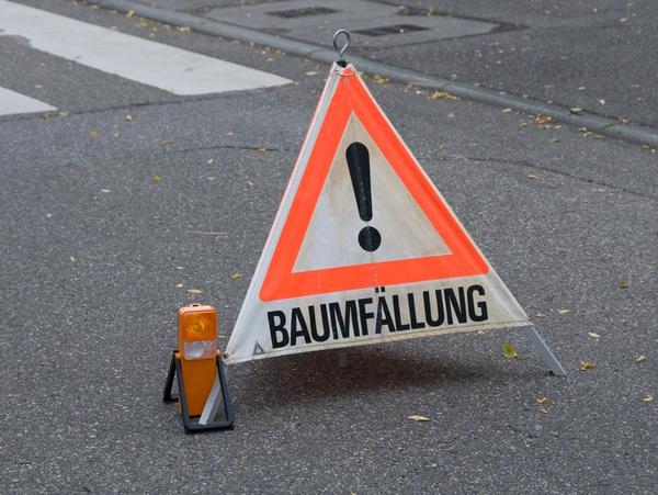B�ume werden gef�llt