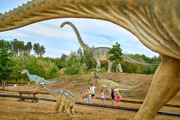 Tier-, Freizeit und Urzeitpark Germendorf