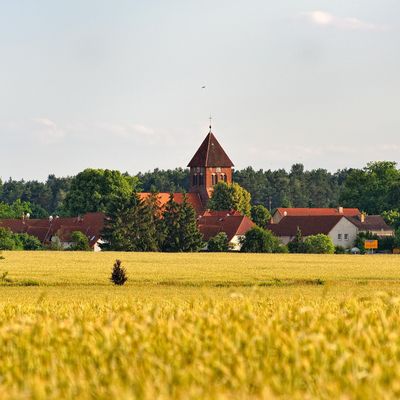 Idylle in Wensickendorf: Sommerlicher Blick &uuml;ber die Felder auf die Dorfkirche