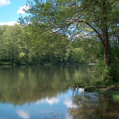 Tonstich in Zehlendorf