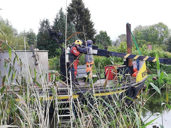 Bevor der Bau der Schleuse im n�chsten Jahr starten kann, muss der Bereich zun�chst freiger�umt werden.