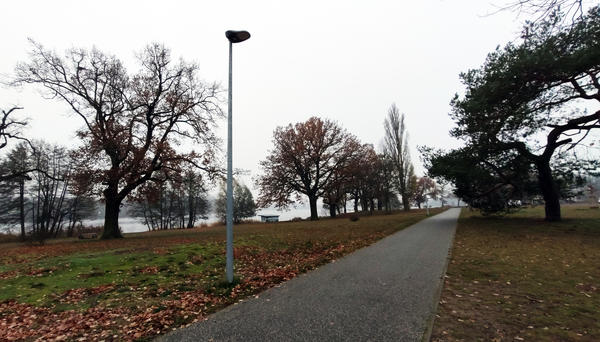 Der Radweg am Lehnitzsee ist zwischen Mainzer Stra�e und Hafen nun um 11 LED-Leuchten reicher.