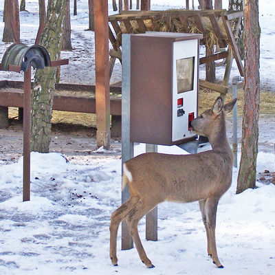 Beliebt sind bei den Tieren im Tierpark Germendorf auch die Futterautomaten - doch auch diese k�nnen in Pandemiezeiten nicht mehr durch G�ste �bef�llt� werden. Die Tiere werden gut versorgt, doch jede Futtermittelspende hilft dem Tierpark, in diesen schwierigen Zeiten zu �berleben.