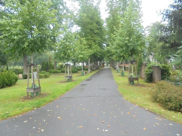 Etwa 21 500 B�ume z�hlt das Oranienburger Stadtgebiet, jedes Jahr kommen �ber 100 Neupflanzungen hinzu. Vor allem in den Sommermonaten brauchen sie viel Pflege, wie diese Jungb�ume, denen mit Wassers�cken durch die hei�en Monate geholfen wird.
