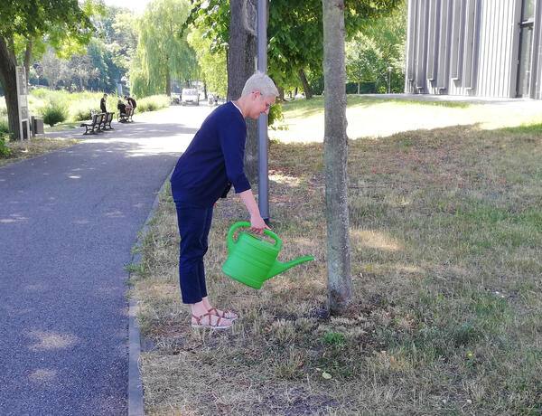 Eine Gie�kanne voll Wasser kann ein Baumleben retten.