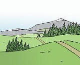 Leichte Sprache Natur Wald und Wiese