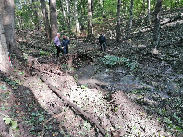 Erfolgreiche Sprengung einer 250-Kilogramm-Bombe im Wald nahe des ehemaligen Klinkerhafens