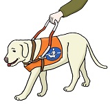 Leichte-Sprache_Blindenhund_160x150