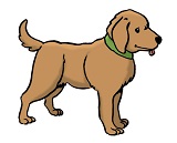 Leichte-Sprache_Hund_160x129