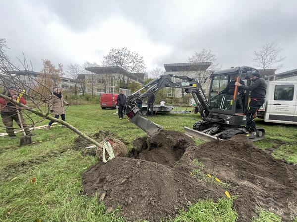 Eine Streuobstwiese anzulegen, war ein Wunsch aus dem B&uuml;rgerhaushalt 2023. In diesen Tagen wurde er umgesetzt.