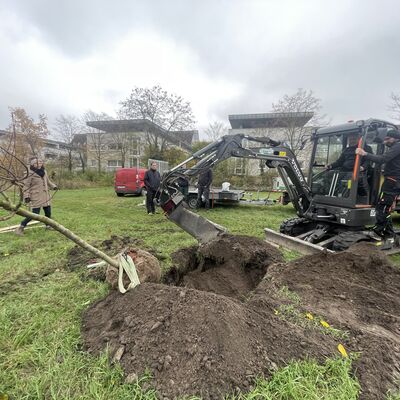 Eine Streuobstwiese anzulegen, war ein Wunsch aus dem B&uuml;rgerhaushalt 2023. In diesen Tagen wurde er umgesetzt.