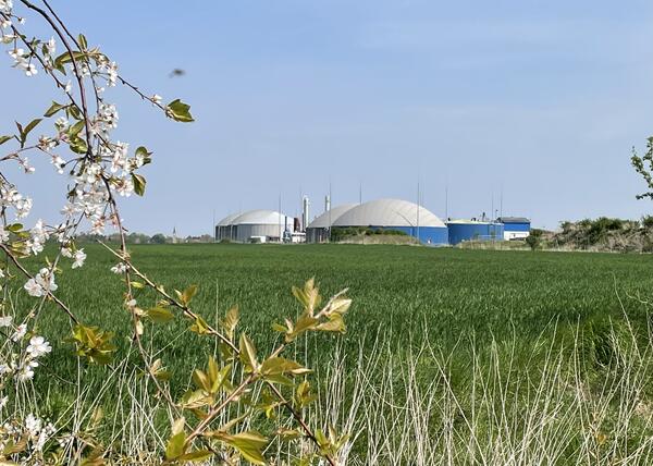 Die st&auml;dtische Wirtschaftsf&ouml;rderung besuchte die DAH Gruppe an ihrem Standort in Oranienburg