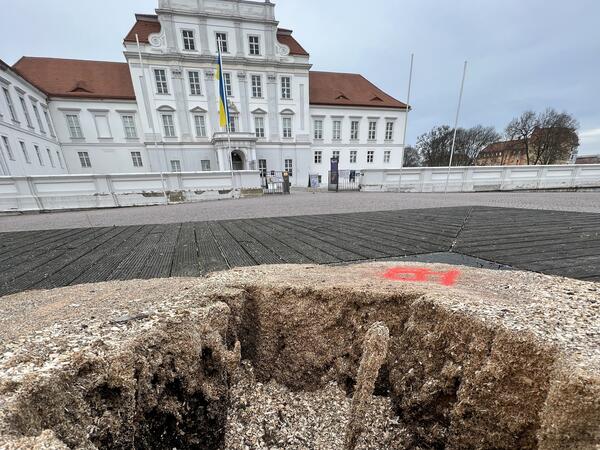 Am Stumpf der Linde sichtbar: Sch�den durch die Stockf�ule