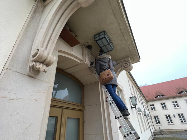 Fr�hjahrsputz f�r gefiederte Freunde: Die Schwalbennester in der Stadtverwaltung wurden gereinigt