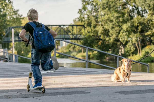 Ein Junge rollert �ber die Havelpromenade.