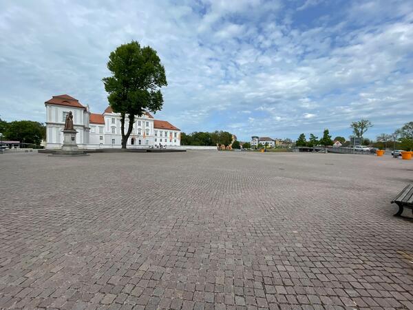 Nur noch eine Linde steht auf dem Schlossplatz. Die Stadt m�chte gern neue B�ume pflanzen.