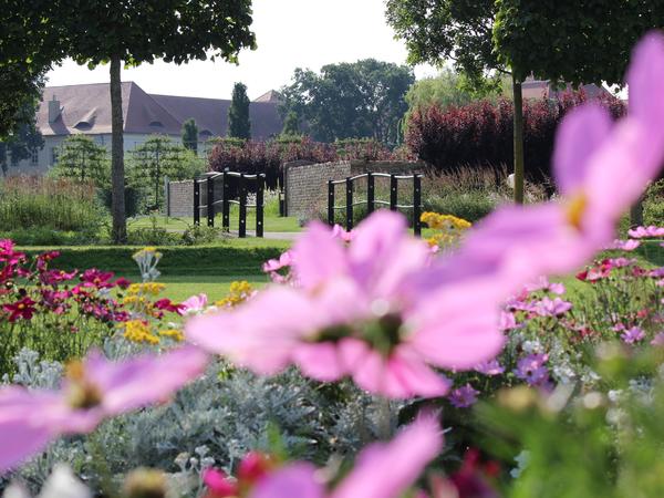 Blumen im Schlosspark Oranienburg