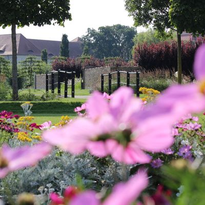 Blumen im Schlosspark