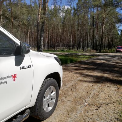Im Lehnitzer Wald muss am 27.6. eine Bombe gesprengt werden.