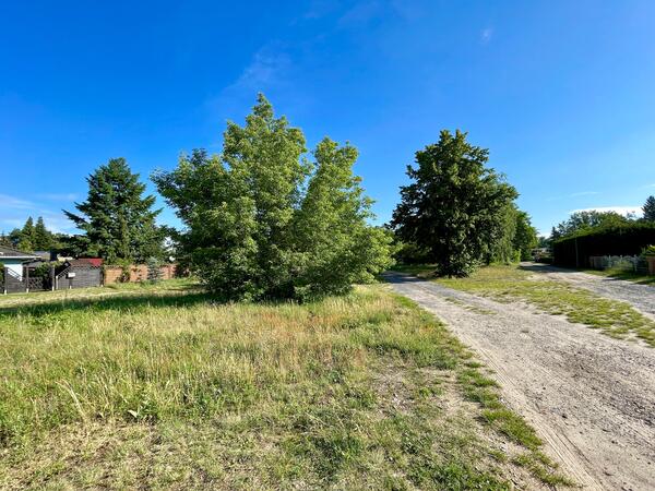 Die Wiese in der Saalfelder Stra�e in Oranienburg wird neugestaltet.
