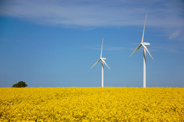 F�r Oranienburg wurden zwei Gebiete festgelegt, die f�r den Bau von Windparkanlagen bevorzugt werden sollen.