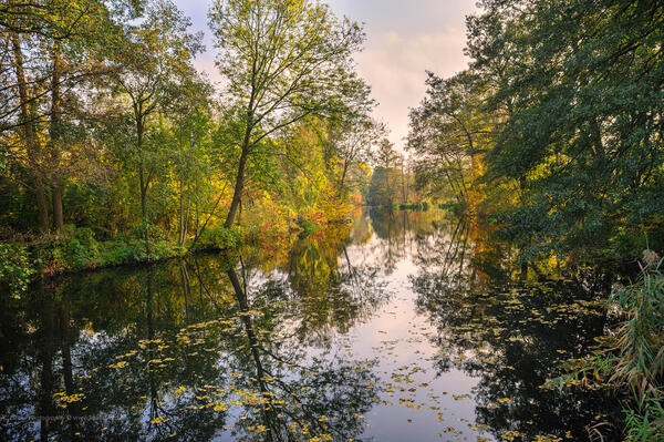 Bild Naturpark Barnim