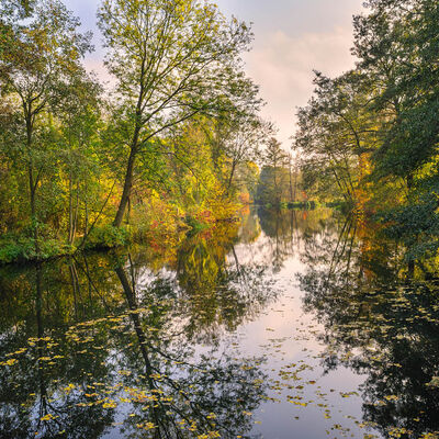 Bild Naturpark Barnim