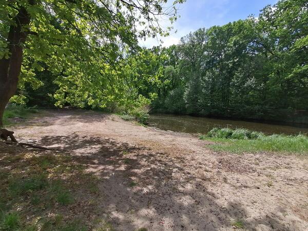 Uferbereich am Oranienburger Kanal
