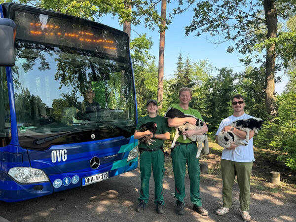 In den Sommermonaten f�hrt der Bus 823 wieder direkt zum Tierpark.