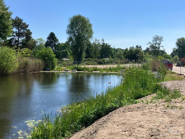 Die Kampfmittelsuche im Bereich der Schleuse Friedenthal ist abgeschlossen.